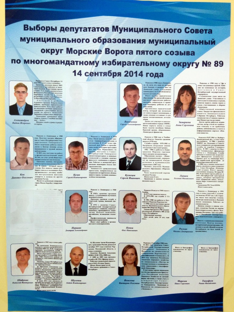 Кандидаты в депутаты местных. Предвыборная программа кандидата. Кандидаты в депутаты местных. Фото кандидатов в депутаты. Агитационные материалы кандидата в депутаты.